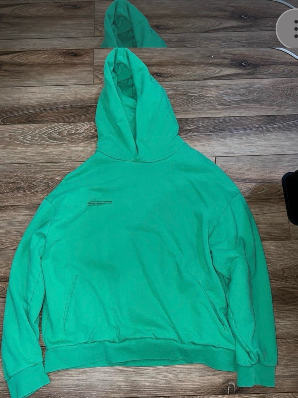 Pangaea hoodie